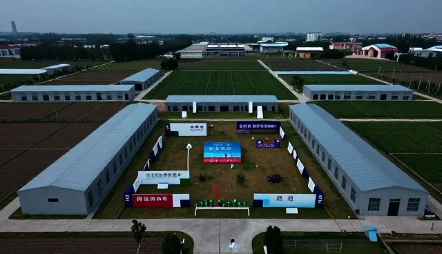 构建高效团队:组织效能提升的关键实践
